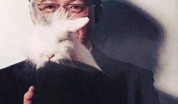 狗仔卓伟爆料大瓜视频,娱乐圈大瓜视频揭秘