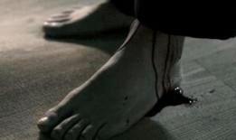 3d 肉蒲在线观看,3D肉蒲在线观看体验解析